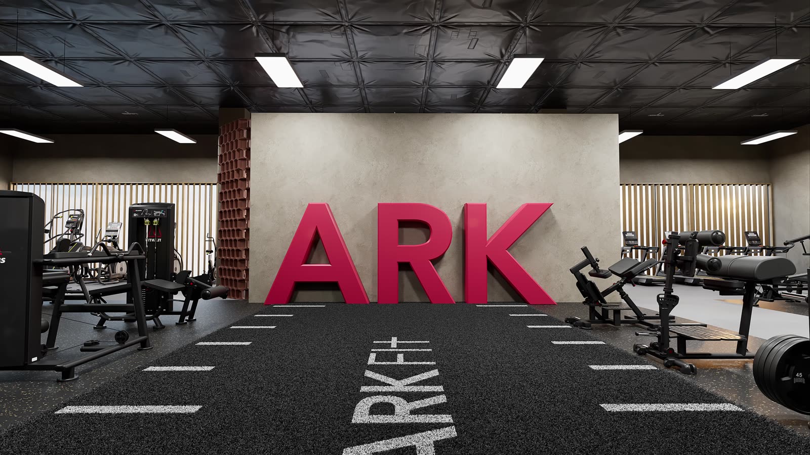 Strength and recovery club: gym design render, view 3