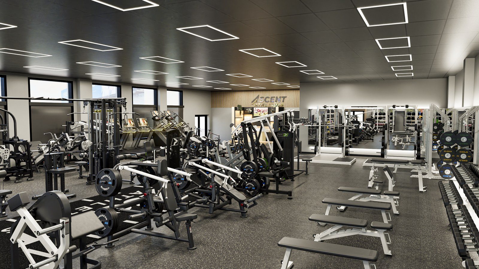 Athletic performance gym: gym design render, view 3