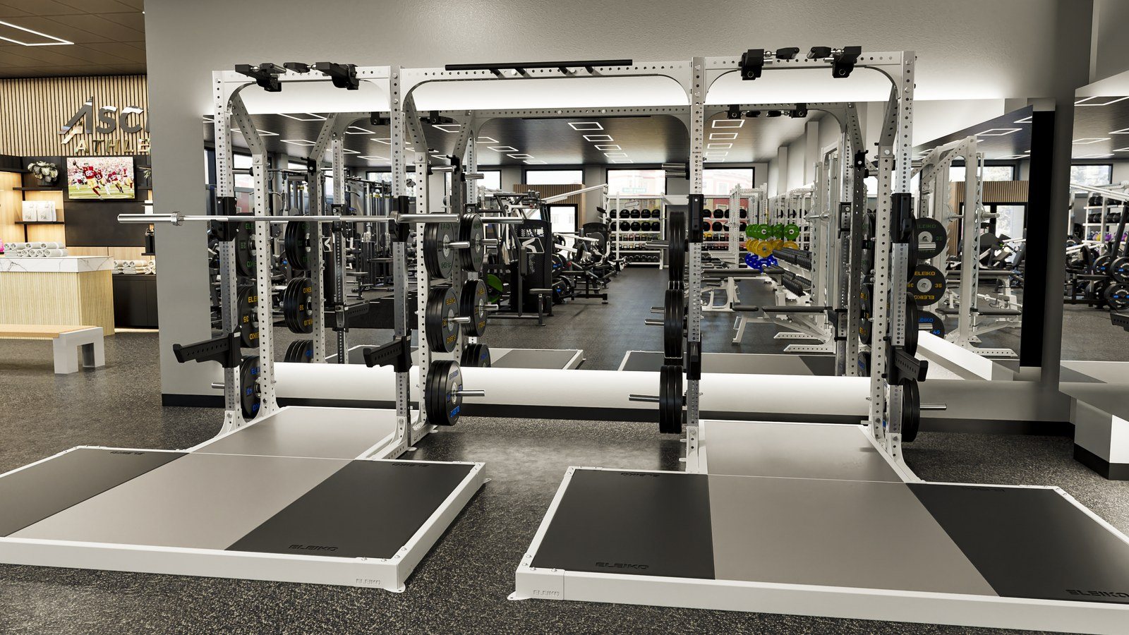 Athletic performance gym: gym design render, view 4