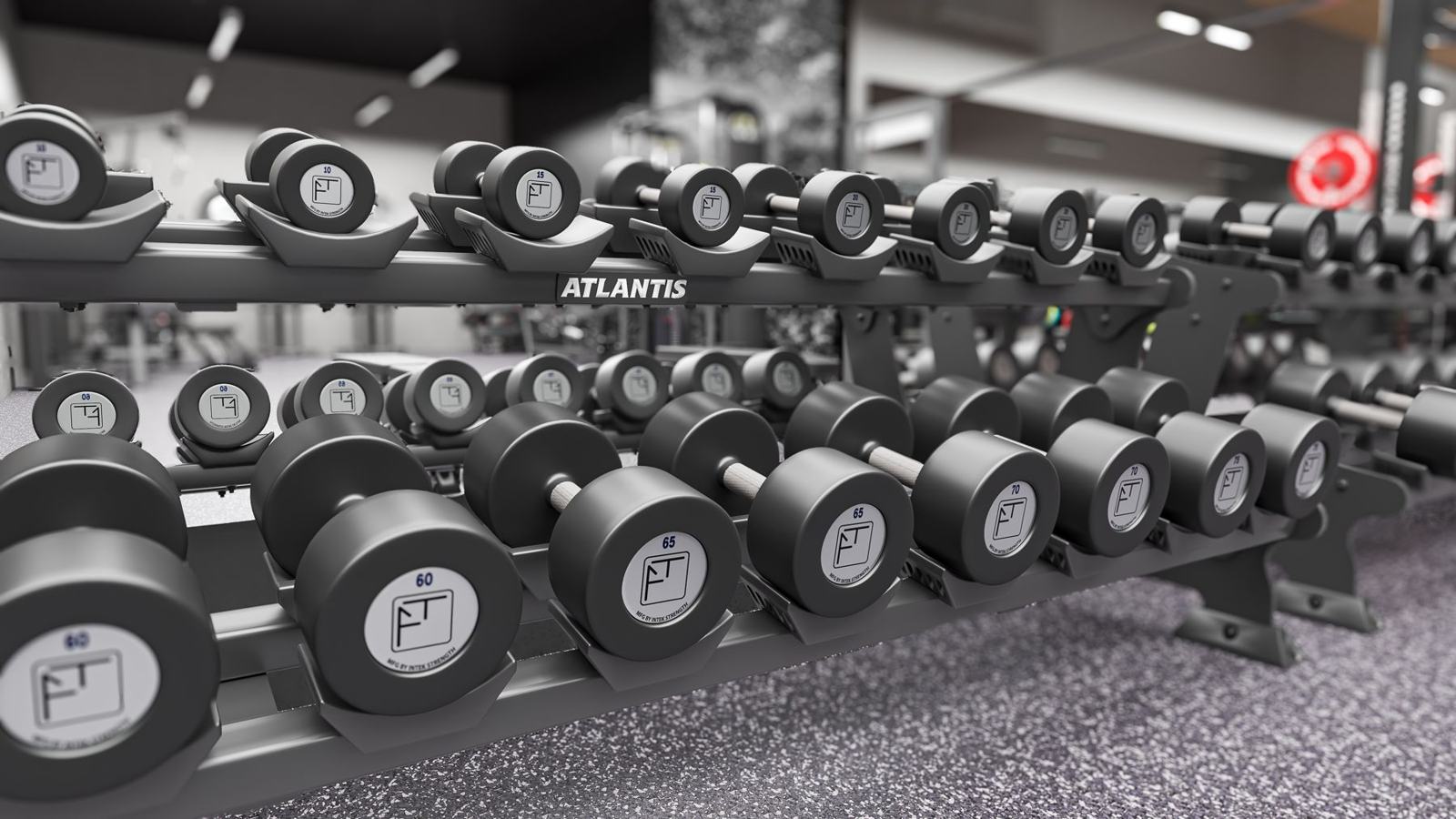 Training club · San Francisco: gym design render, view 3
